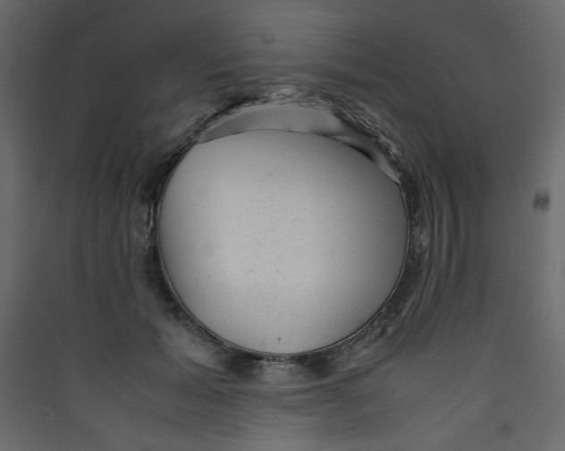 X0000089450605200707131928