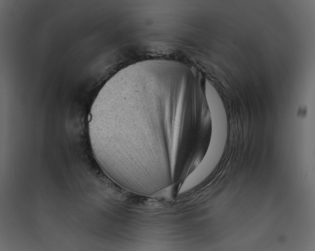 X0000089450608200707131928