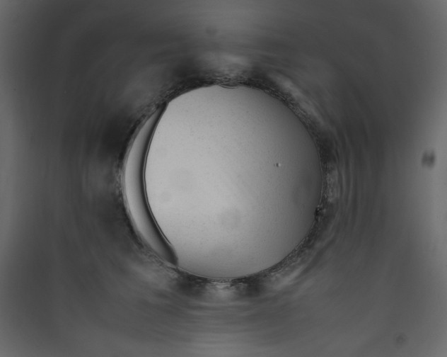 X0000089450613200707131928