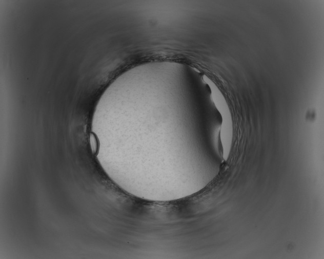 X0000089450615200707131928