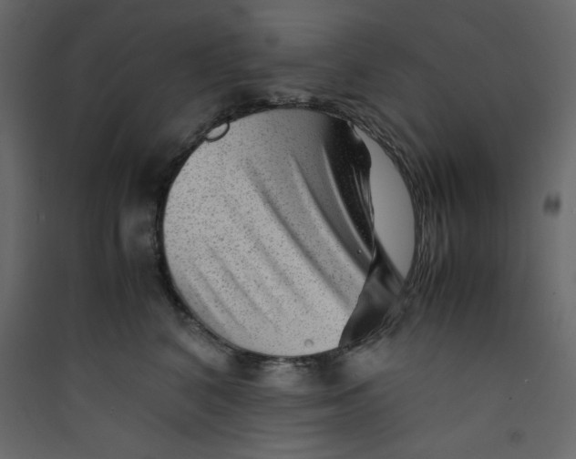 X0000089450616200707131928