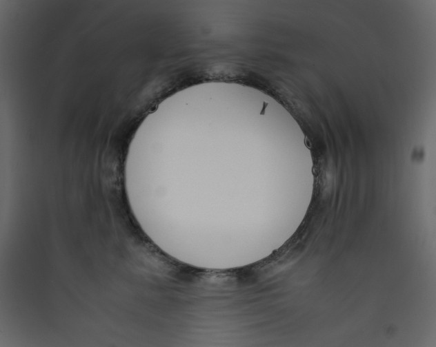 X0000089450619200707131928