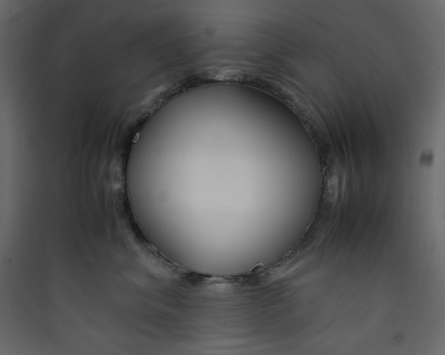 X0000089450620200707131928