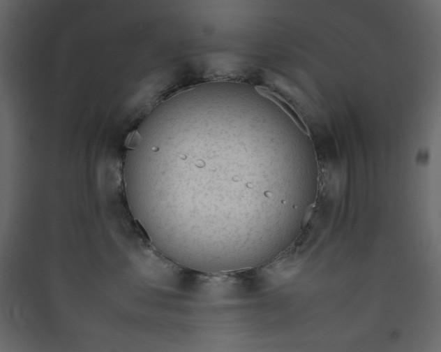 X0000089450621200707131928