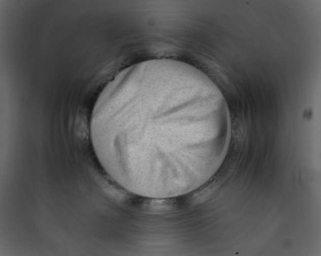 X0000089450622200707131928