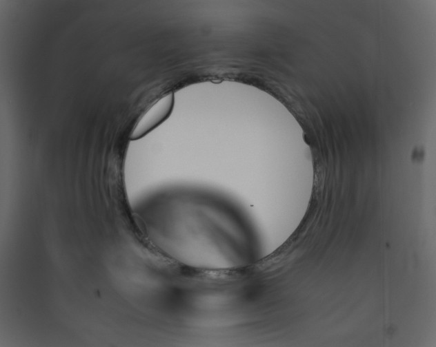 X0000089450623200707131928