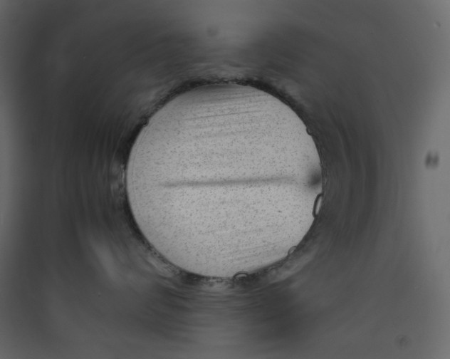 X0000089450624200707131928