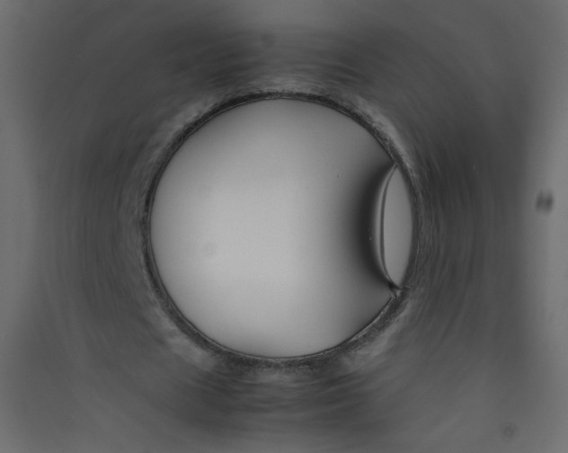 X0000089450625200707131927