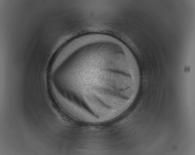 X0000089450626200707131927