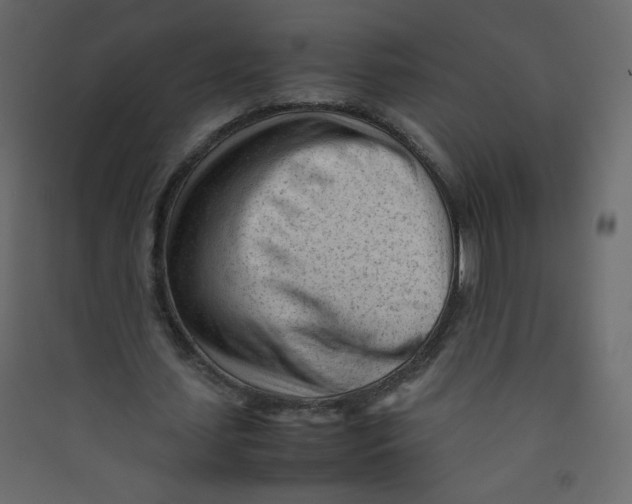 X0000089450627200707131927