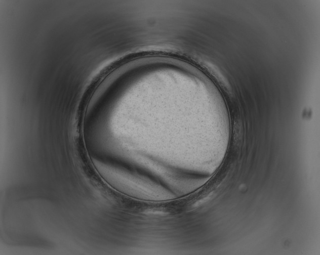 X0000089450628200707131927