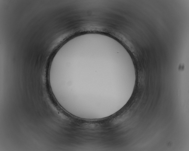 X0000089450629200707131927