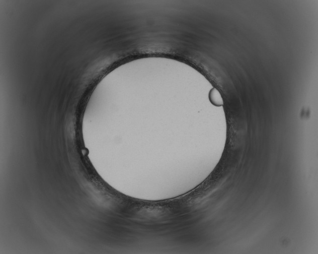 X0000089450631200707131927