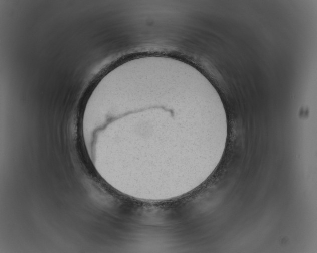 X0000089450632200707131927