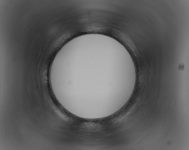 X0000089450633200707131927