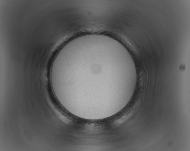 X0000089450634200707131927