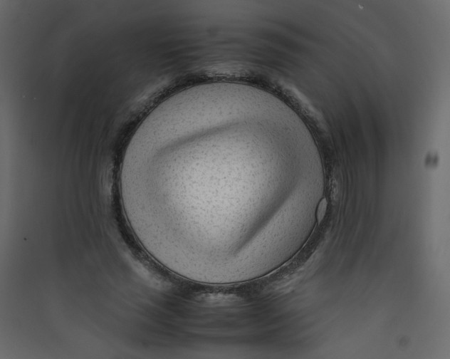 X0000089450637200707131927