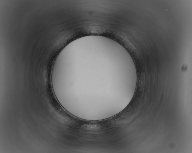 X0000089450639200707131927