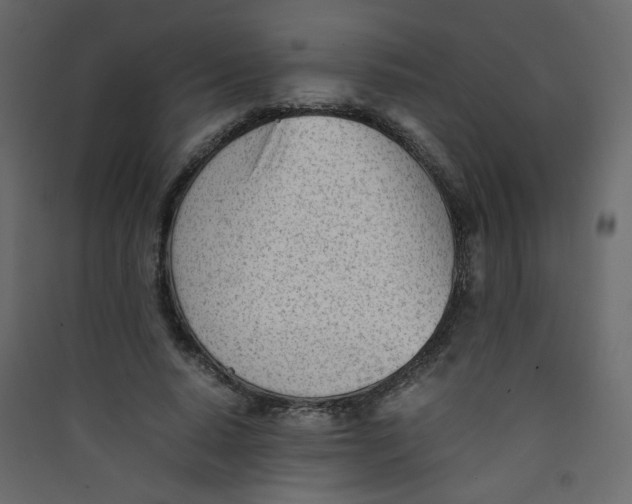 X0000089450640200707131927