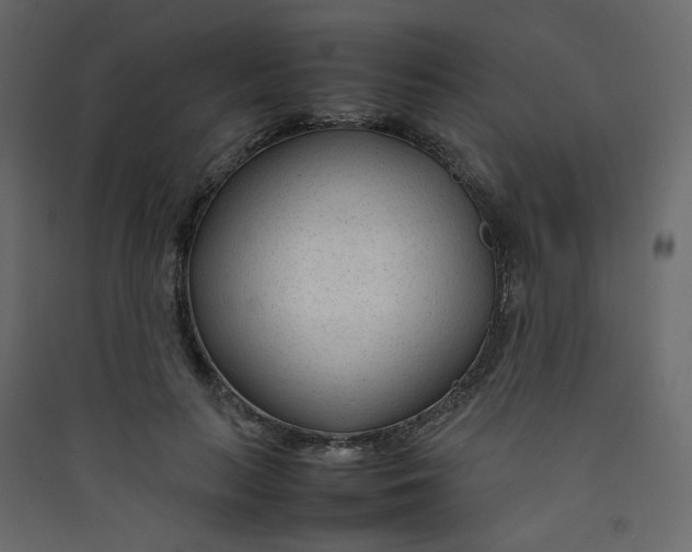 X0000089450647200707131928