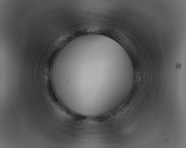 X0000089450648200707131928