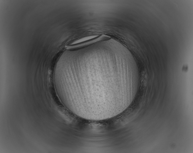 X0000089450650200707131928