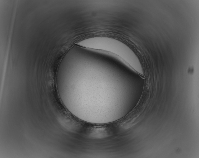 X0000089450651200707131928