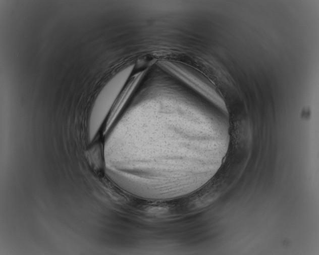 X0000089450653200707131928