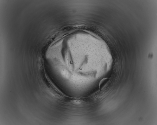 X0000089450654200707131928