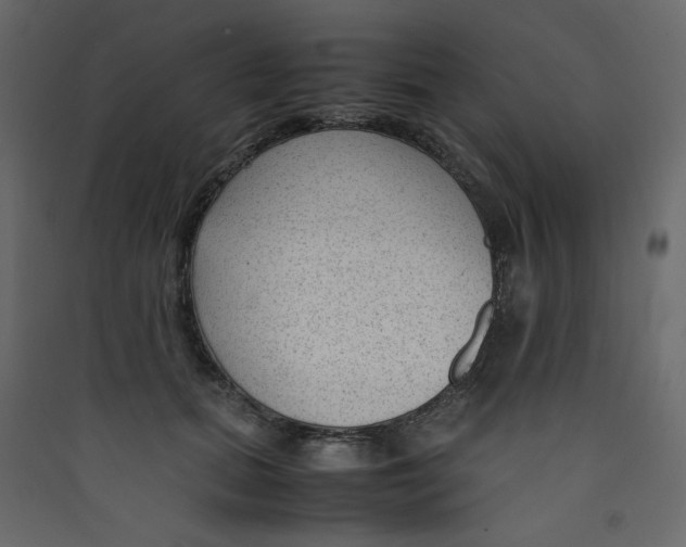 X0000089450655200707131928