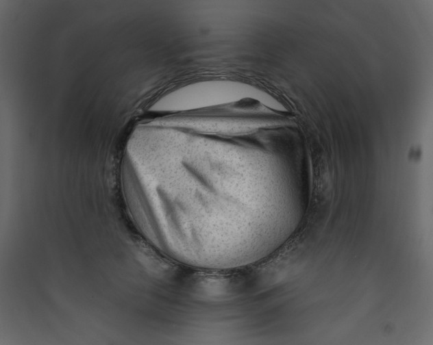 X0000089450658200707131928