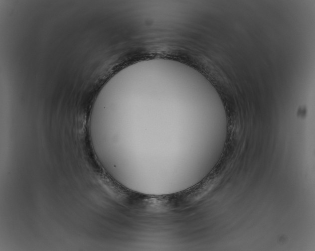 X0000089450660200707131928