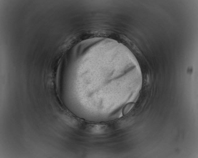 X0000089450663200707131928