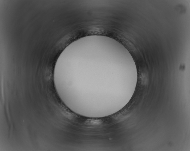 X0000089450665200707131928