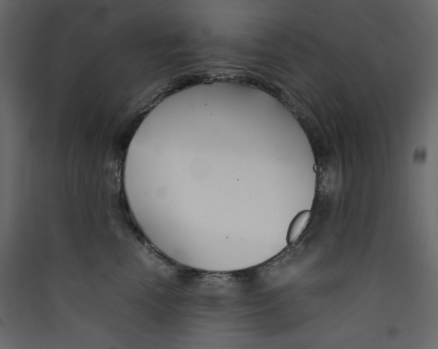 X0000089450666200707131928