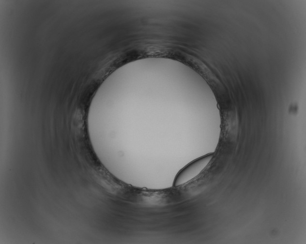 X0000089450667200707131928