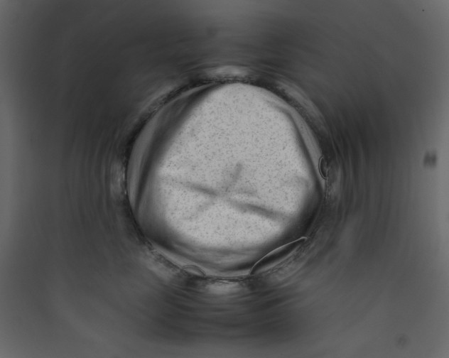 X0000089450669200707131928