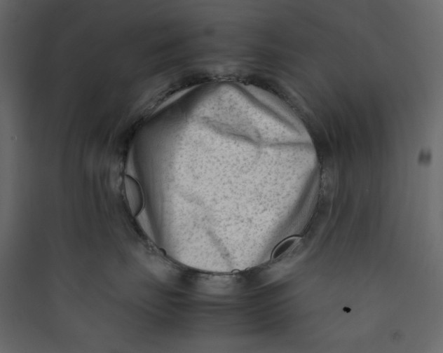 X0000089450671200707131928