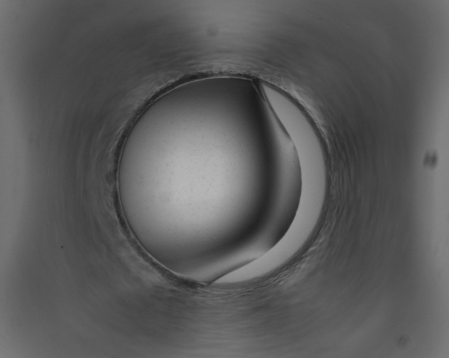 X0000089450673200707131927