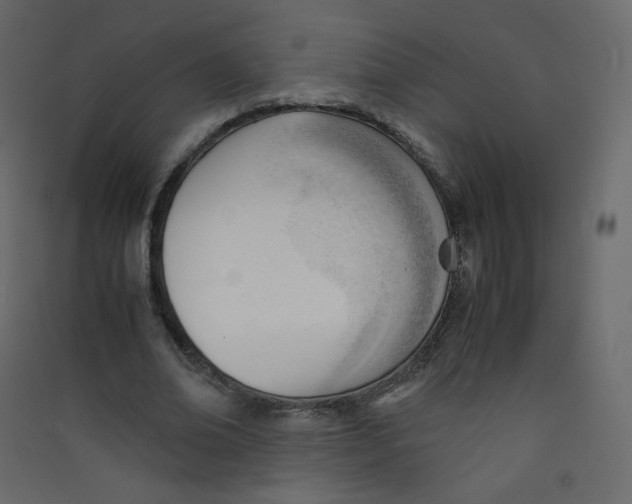 X0000089450678200707131927