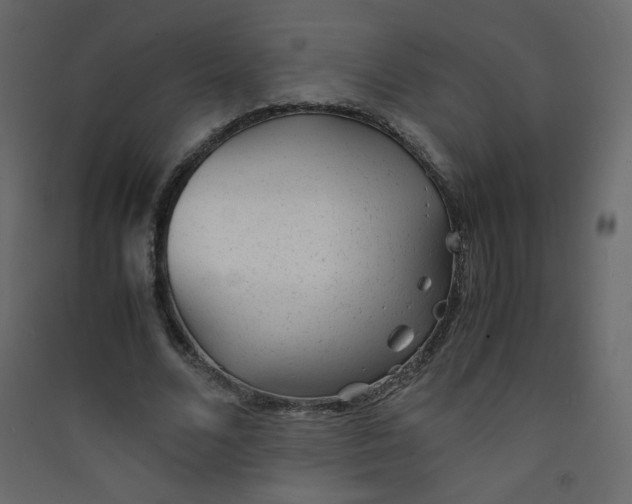 X0000089450680200707131927