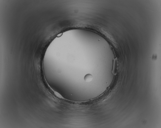 X0000089450681200707131927