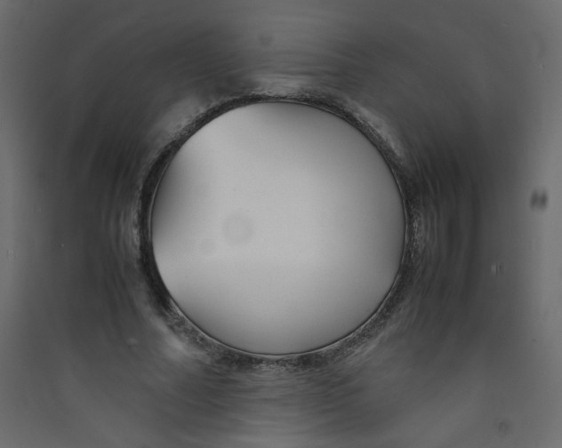 X0000089450682200707131927