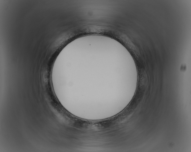 X0000089450683200707131927