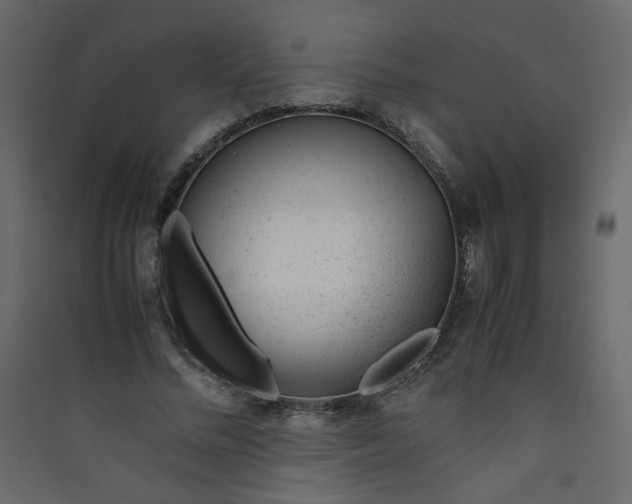 X0000089450684200707131927