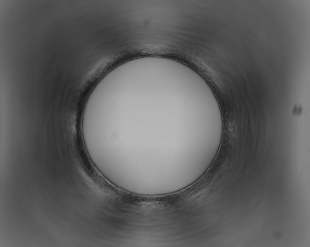 X0000089450686200707131927