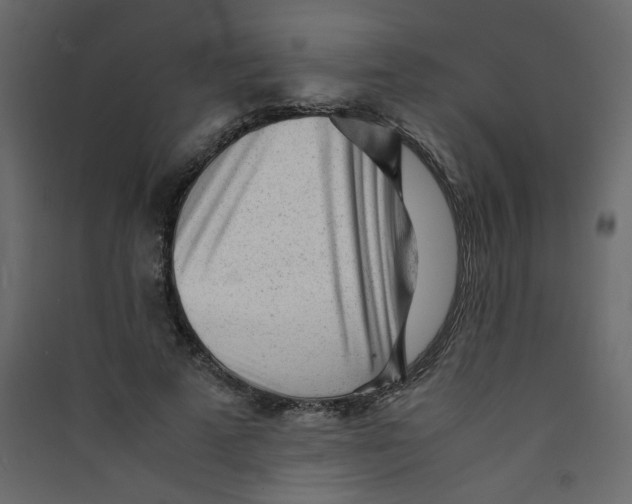 X0000089450689200707131927