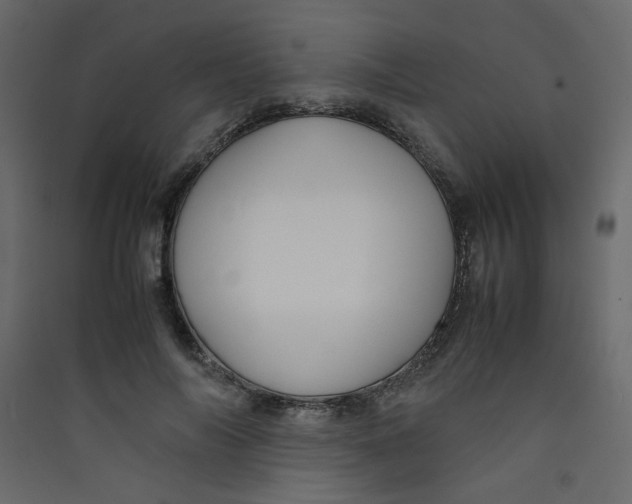 X0000089450694200707131927