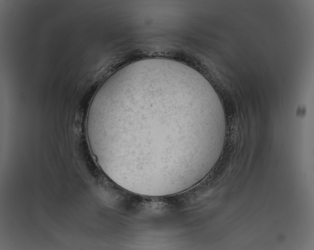 X0000089450695200707131927