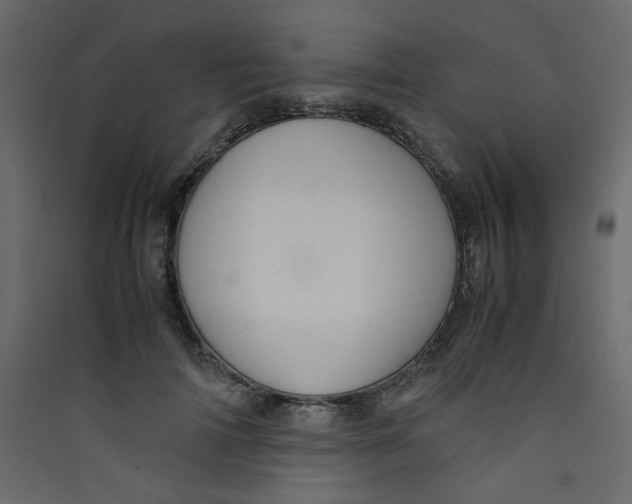 X0000089450698200707131927